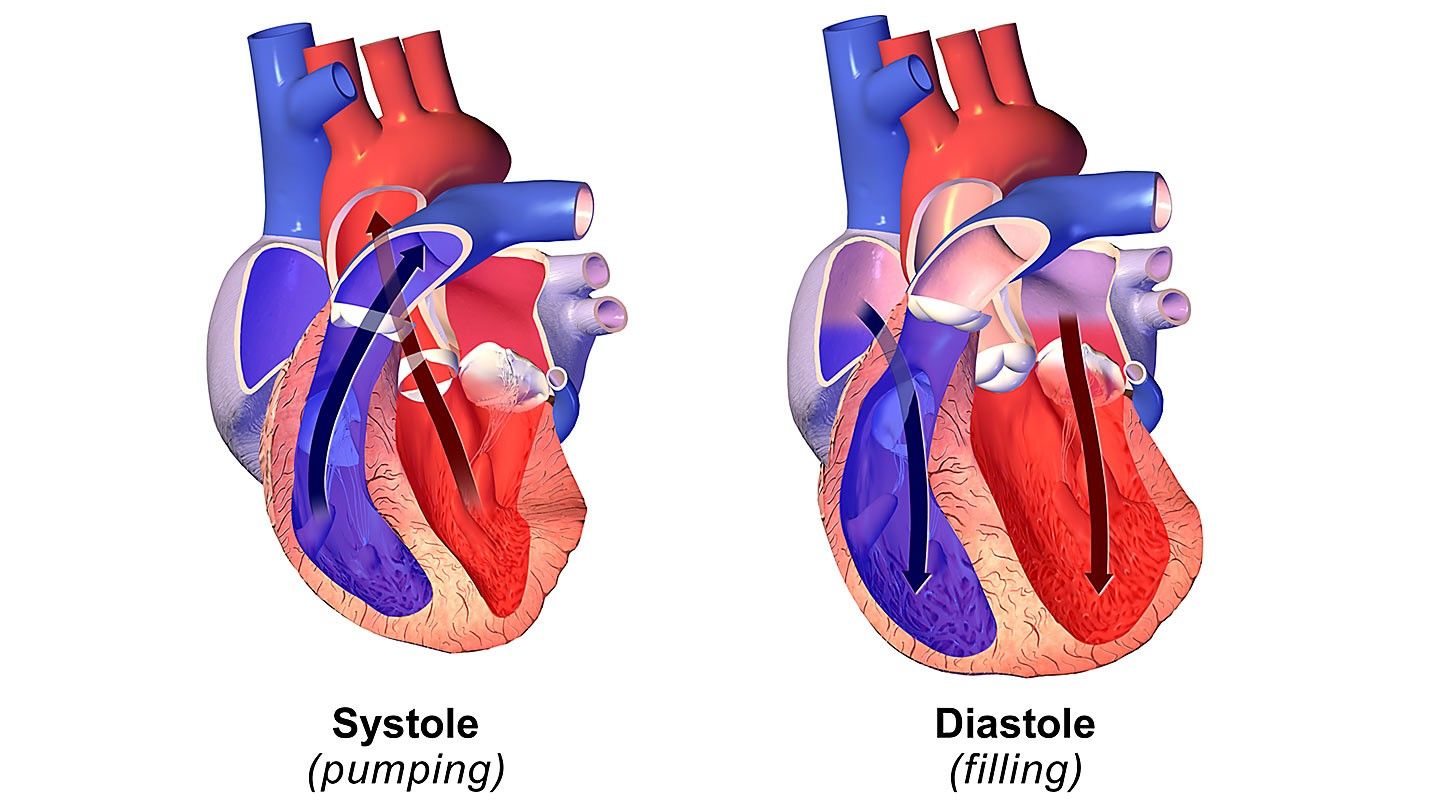 Cardiac Myosin Activation with Omecamtiv Mecarbil in Systolic Heart Failure