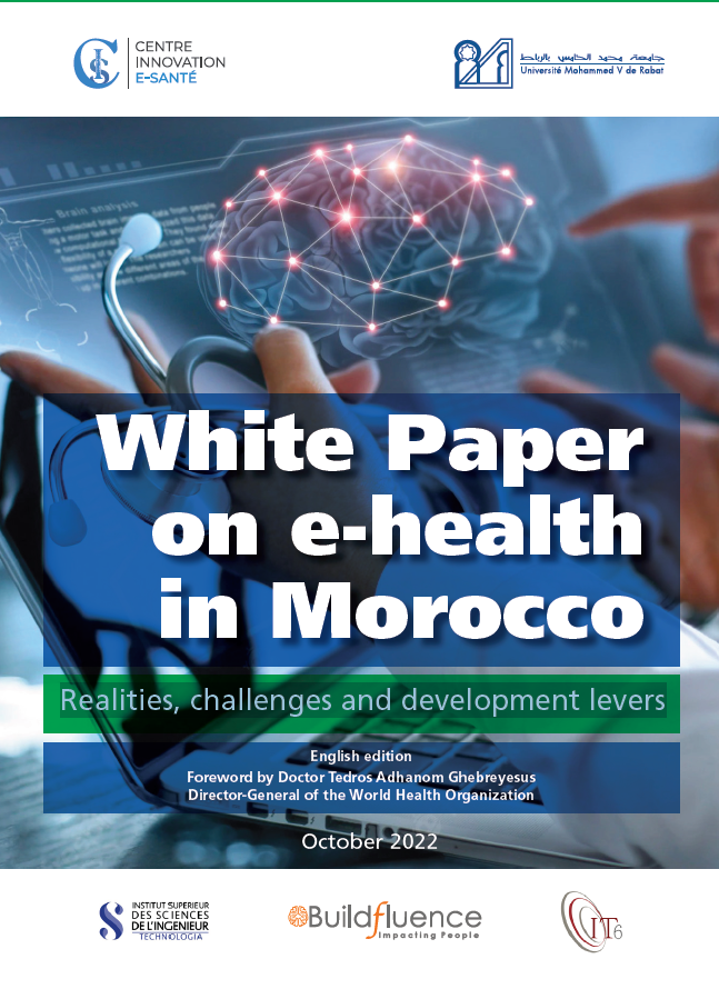 White Paper on e-health in Morocco